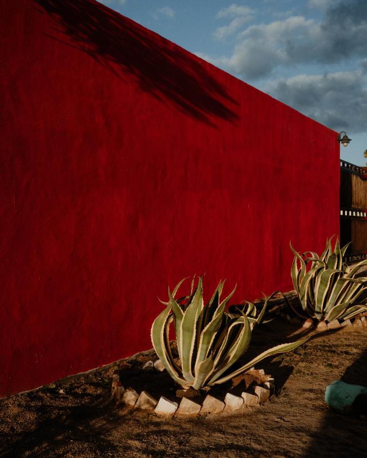 Cabana R Y A Valle De Guadalupe Exteriér fotografie
